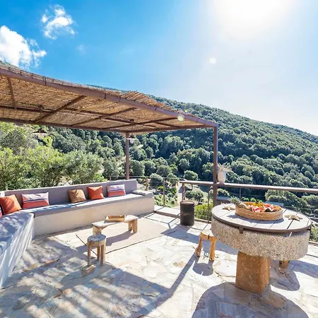 D'architecte - Piscine - Vue Villa Calcatoggio (Corsica)